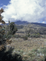 Kilimanjaro - Aufstieg