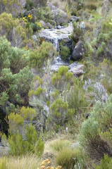 Kilimanjaro - Aufstieg
