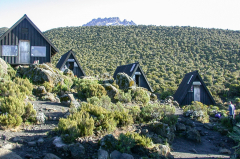 Kilimanjaro - Aufstieg