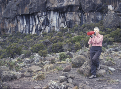 Kilimanjaro - Aufstieg