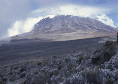 Kilimanjaro - Aufstieg