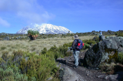 Kilimanjaro - Aufstieg