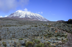 Kilimanjaro - Aufstieg