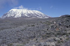 Kilimanjaro - Aufstieg