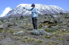Kilimanjaro - Aufstieg