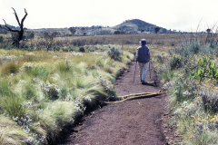 Kilimanjaro - Abstieg