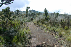 Kilimanjaro - Abstieg