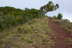 Kilimanjaro - Abstieg