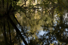 wcb_Kranich_029