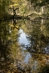 wcb_Kranich_030