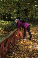 wcb_Kranich_032