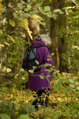 wcb_Kranich_036