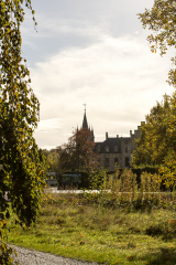 wcb_Kranich_039