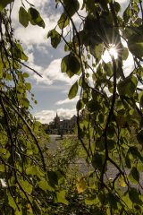 wcb_Kranich_046