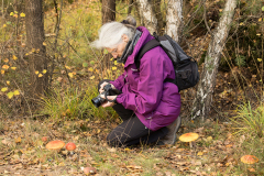 wcb_Kranich_055