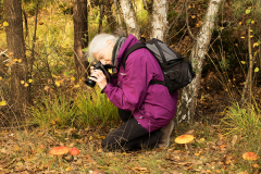 wcb_Kranich_057