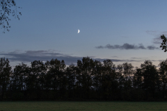 wcb_Kranich_066