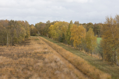 wcb_Kranich_068