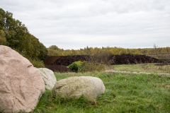 wcb_Kranich_086