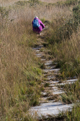 Moor_35