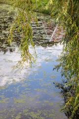 Fehn_05