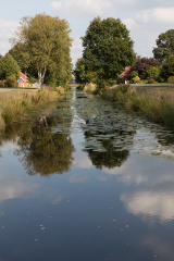 Fehn_06