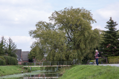 Fehn_08