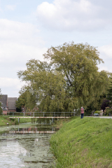 Fehn_09