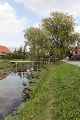 Fehn_10