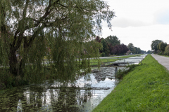 Fehn_12