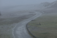wcb_Noerdernee_01