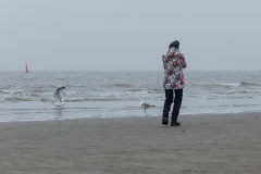 wcb_Noerdernee_04