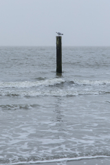 wcb_Noerdernee_07