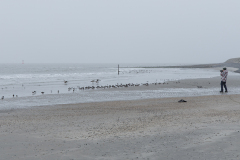 wcb_Noerdernee_17