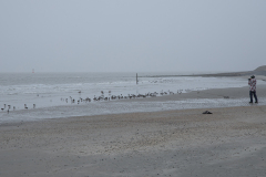 wcb_Noerdernee_19
