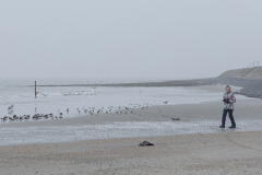 wcb_Noerdernee_20