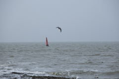 wcb_Noerdernee_26