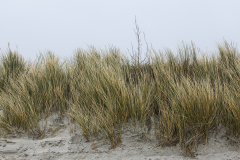 wcb_Noerdernee_71