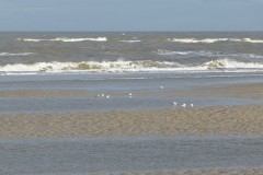 wcb_Noerdernee_102