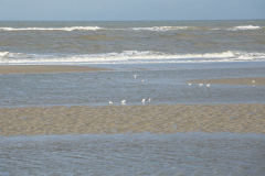 wcb_Noerdernee_103
