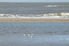 wcb_Noerdernee_104