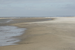 wcb_Noerdernee_105