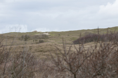 wcb_Noerdernee_119