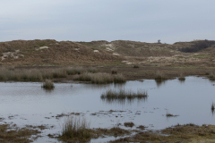 wcb_Noerdernee_74