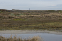 wcb_Noerdernee_76