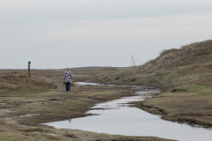wcb_Noerdernee_78