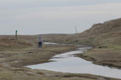 wcb_Noerdernee_79