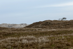 wcb_Noerdernee_80
