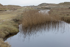 wcb_Noerdernee_81
