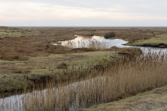 wcb_Noerdernee_82